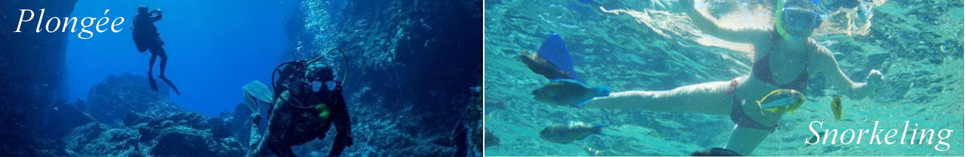 Bannière de la page